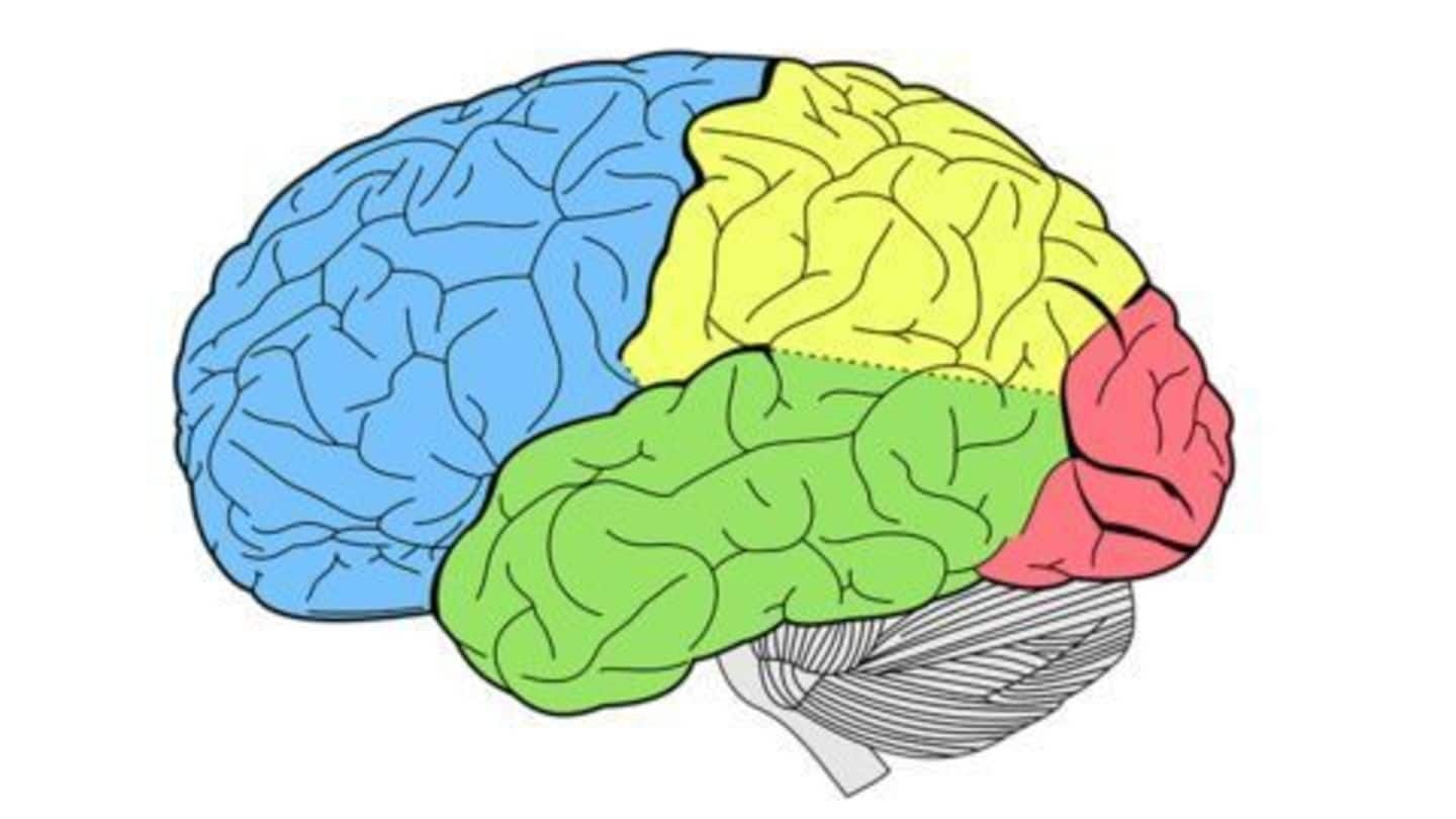 Scientists can tell who is likely to become a criminal