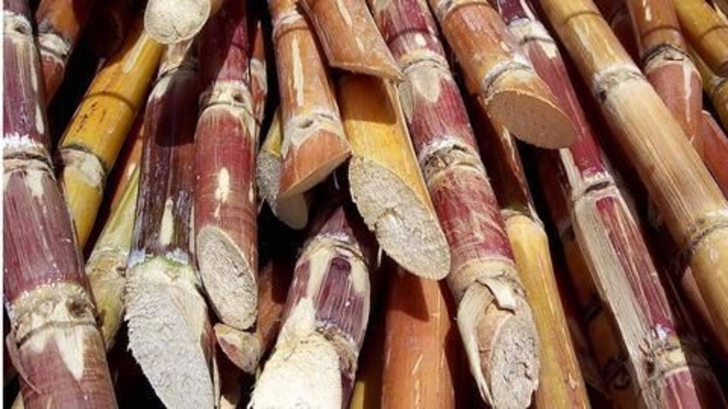 Sugarcane farmers in UP continue to support demonetization