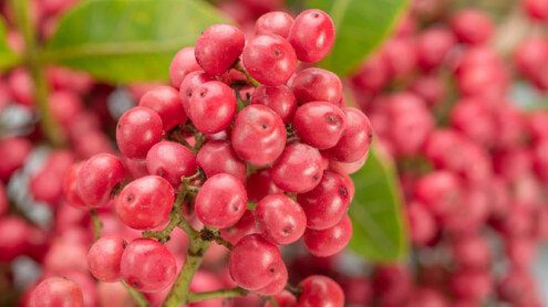 Pink peppercorns: The mood-boosting superfood