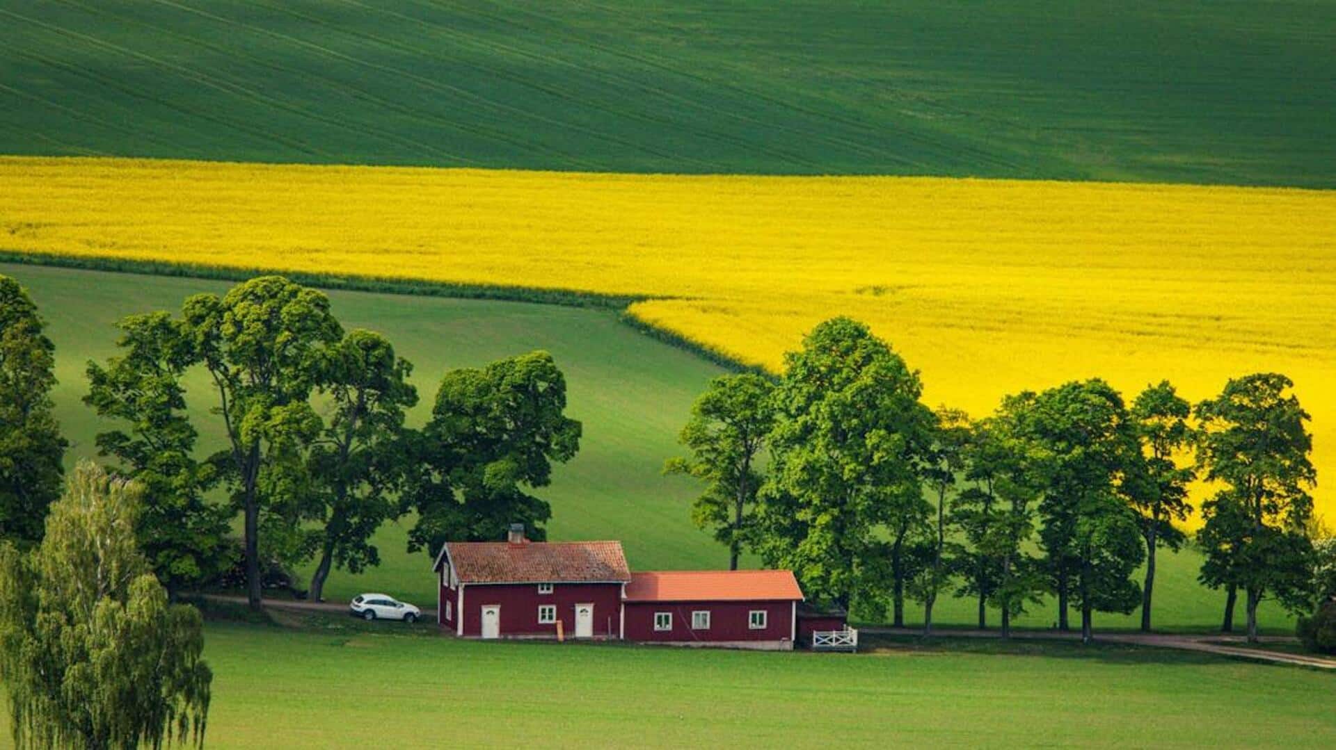 Sweden's countryside is a dream for nature lovers! 