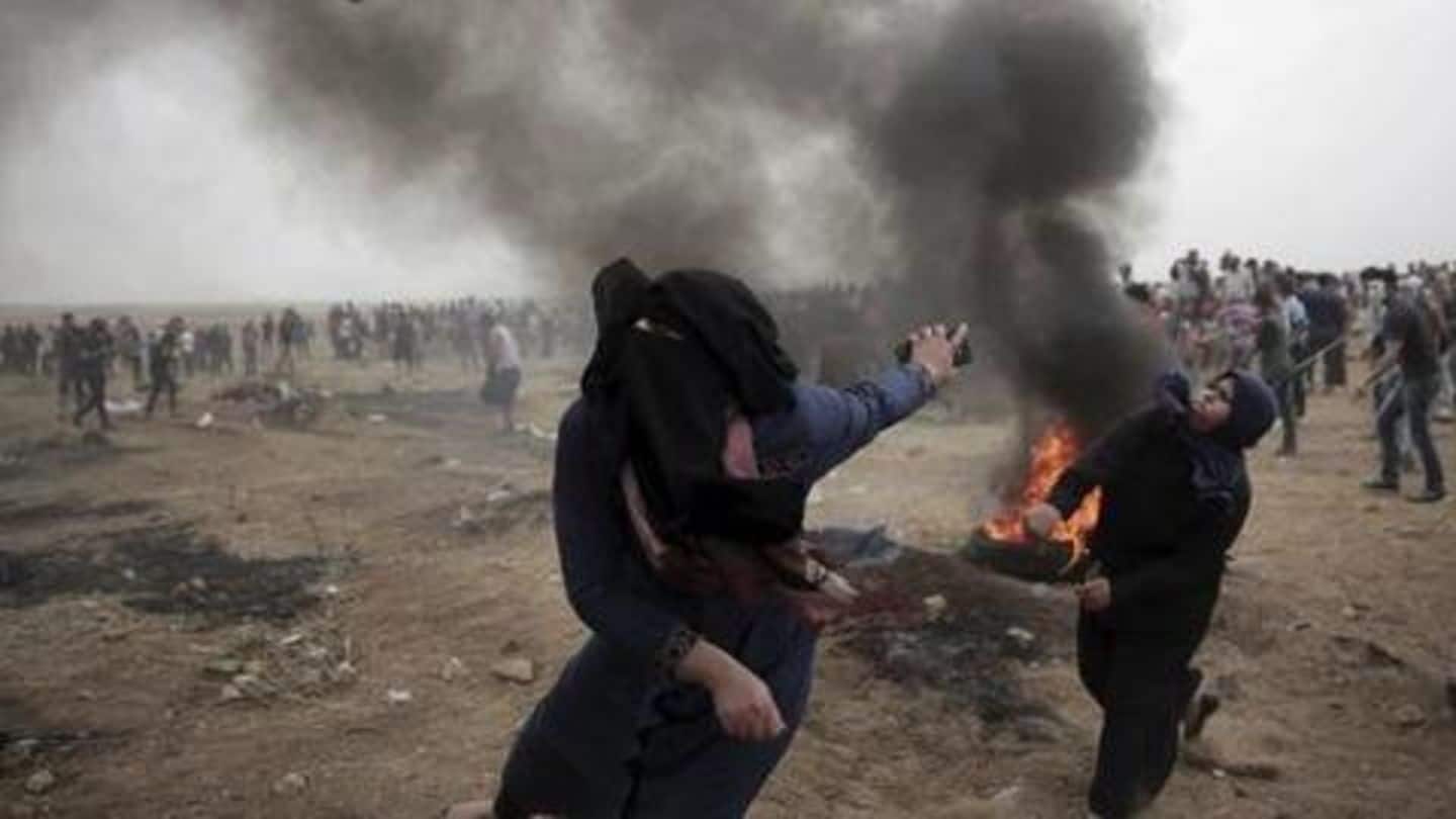People who've suffered the most are the Palestinian people: Haley People who've suffered the most are the Palestinian people: Haley