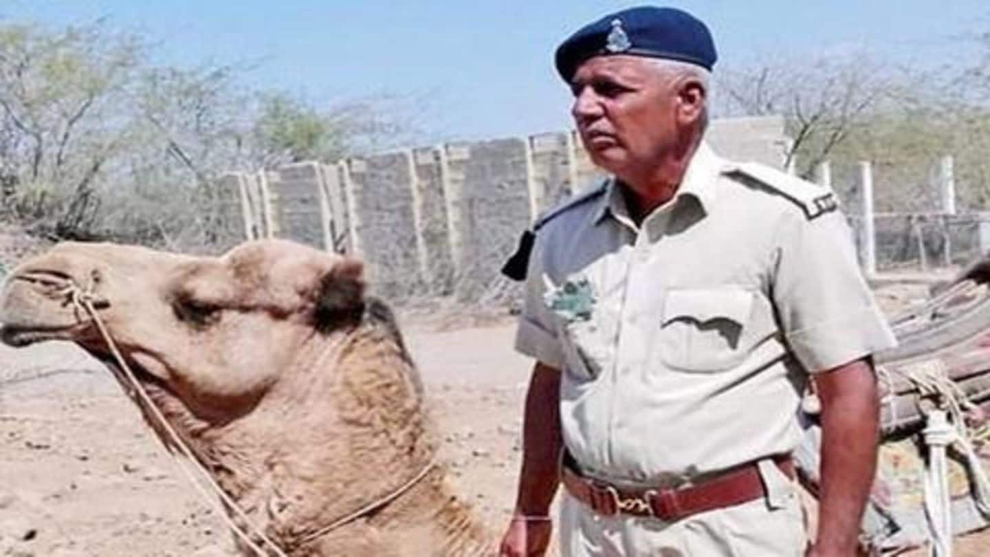 After handler dies, depressed camel refuses to eat or drink