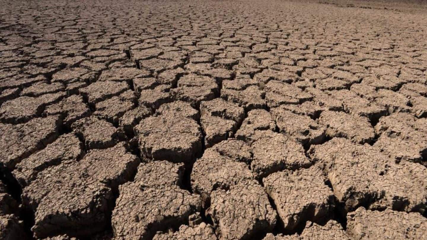Maharashtra launches website, app 'Maha madat' to analyze drought situation