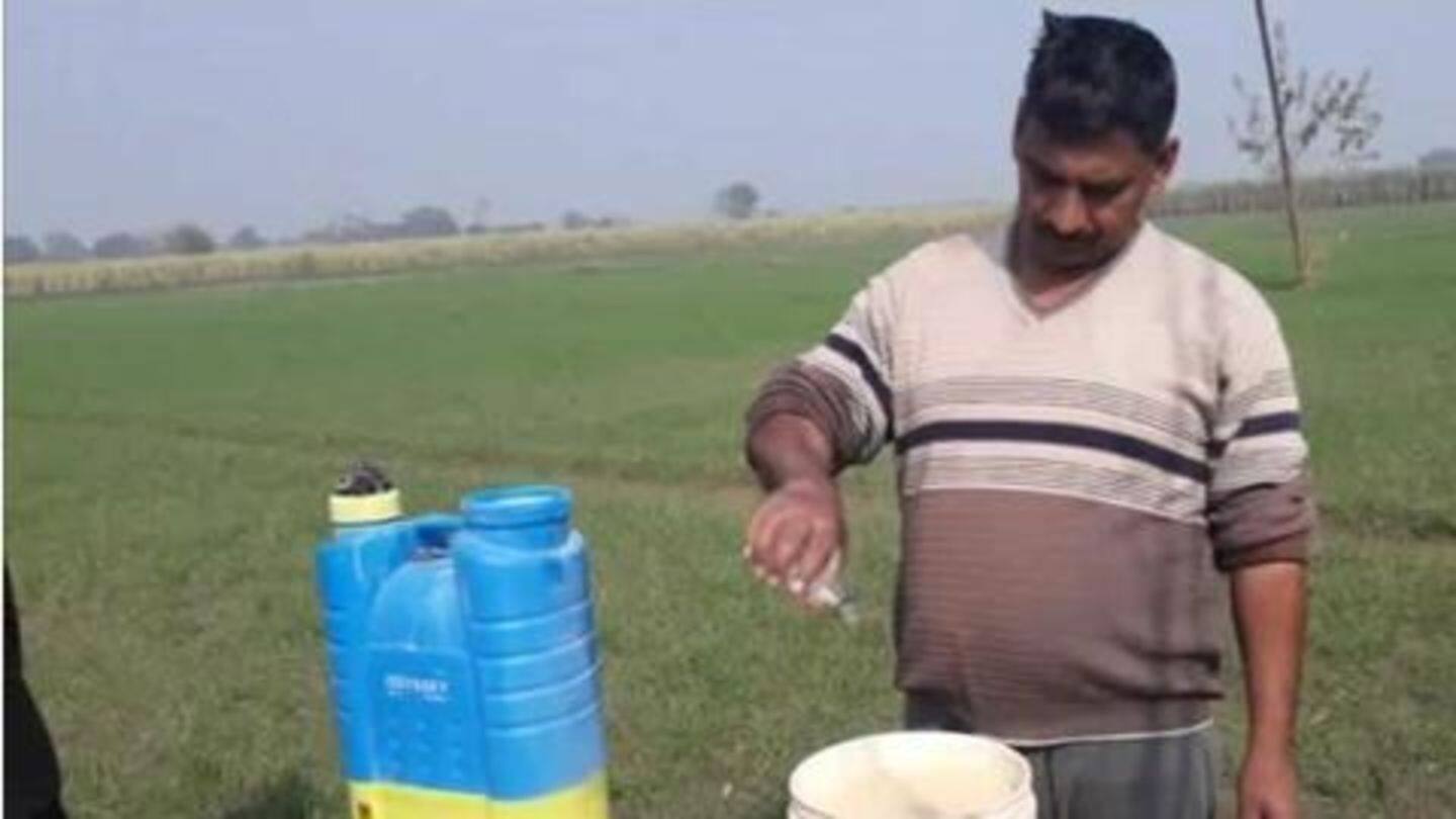 UP: Farmers using alcohol as 'medicine' to improve potato production