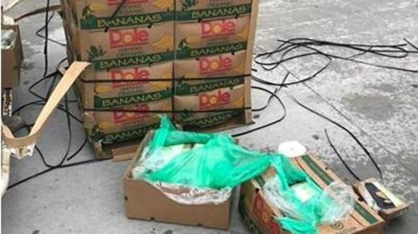 US: Banana boxes donated to prison found carrying $18mn-worth cocaine