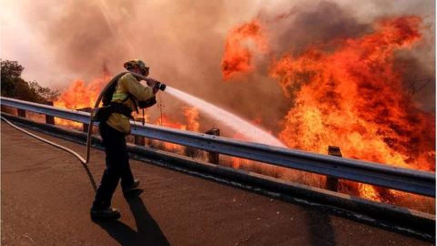 Firefighters battle blazes on two fronts in California, 50 dead