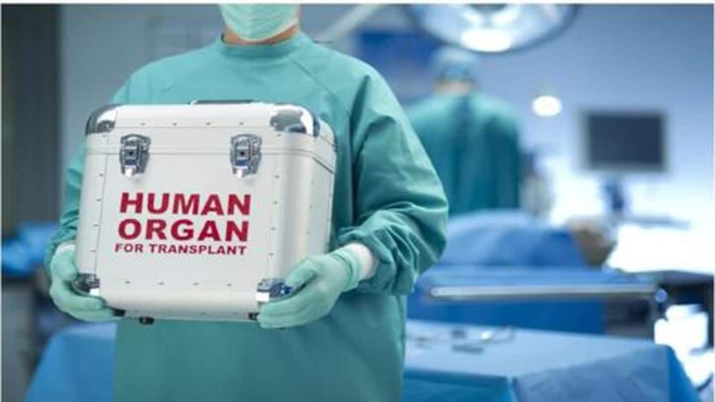 WB: Organs of brain dead girl travel 170km for transplants