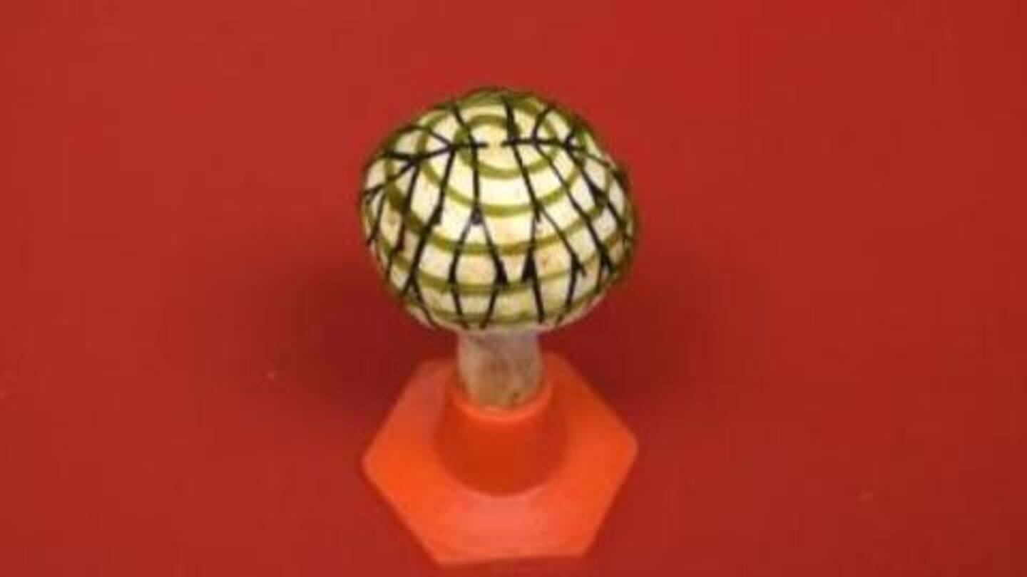 Scientists create 'bionic mushrooms' that can produce green power