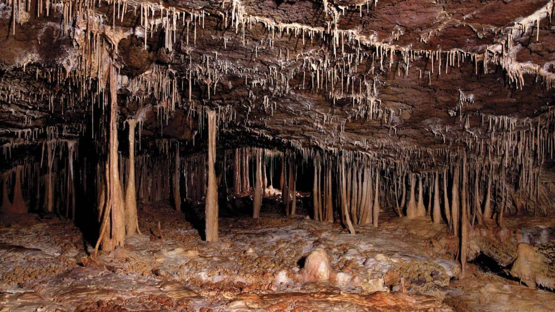 Unveiling the mysteries of Jeju Island's lava caves, South Korea