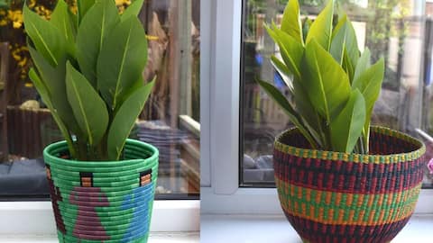 Elevate your space with African baskets