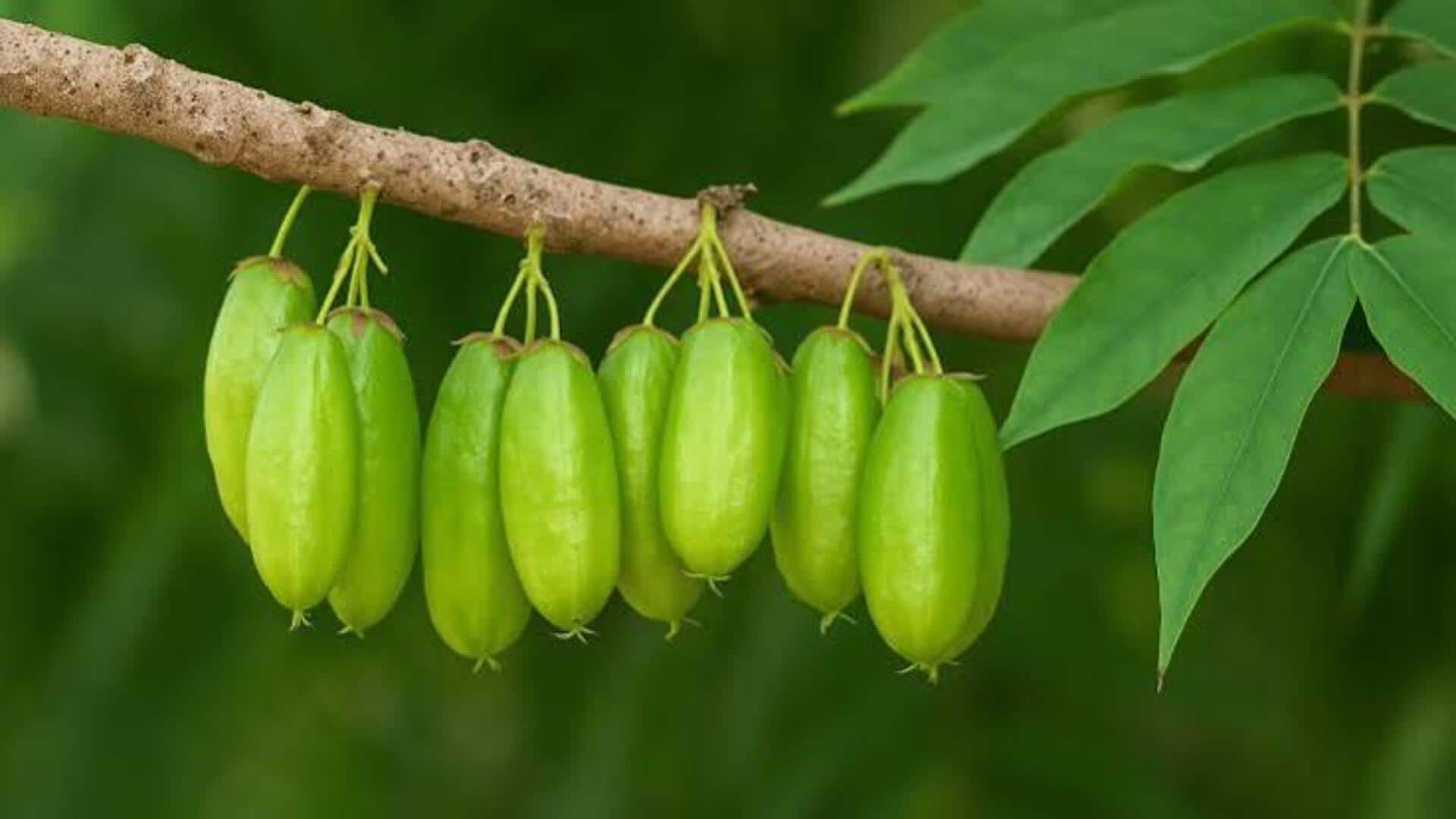 Heard of bilimbi fruit?