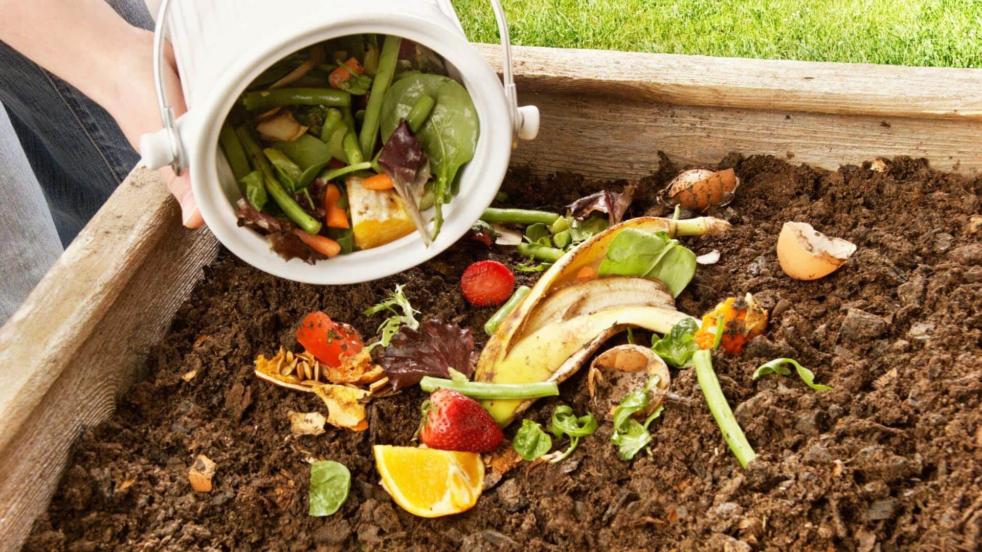 How to use kitchen scraps for gardening (and reduce costs)