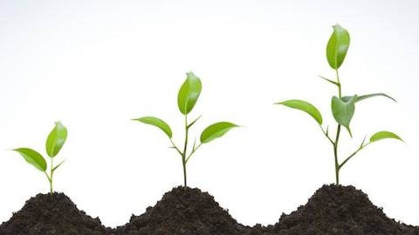 Now, Lenskart wants to expand its business Now, Lenskart wants to expand its business
