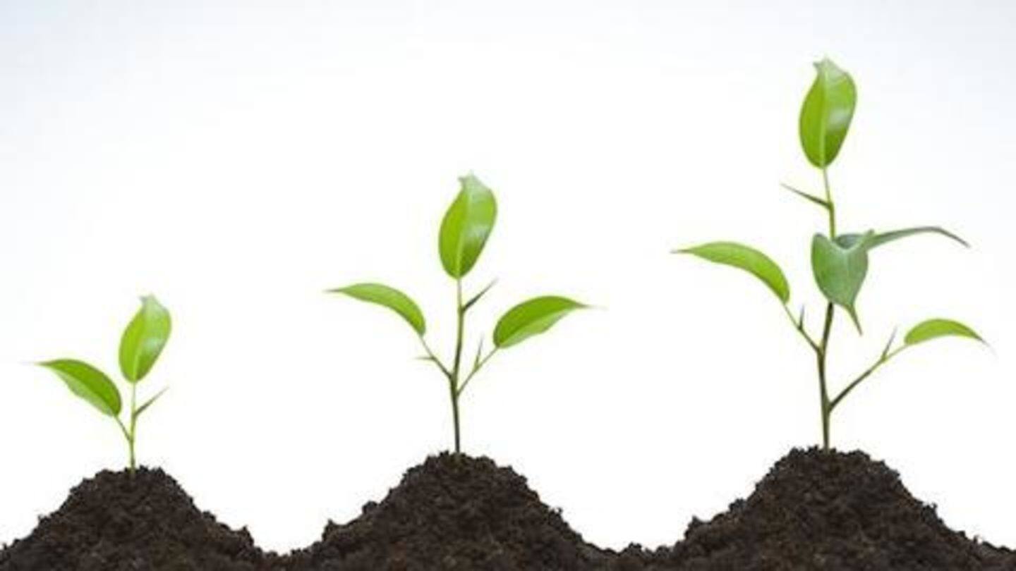 How InterviewBit will use the fresh funds? How InterviewBit will use the fresh funds?