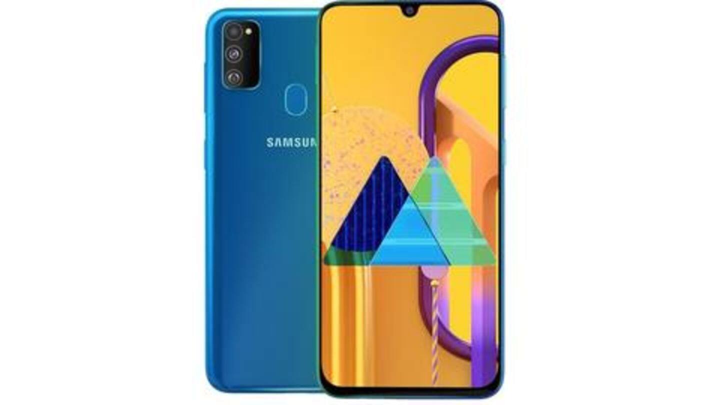 Samsung Galaxy M30s: At a glance Samsung Galaxy M30s: At a glance