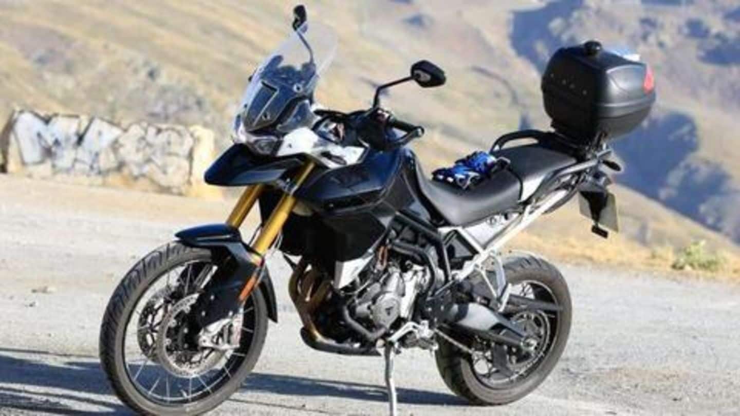 tiger 800 low for sale