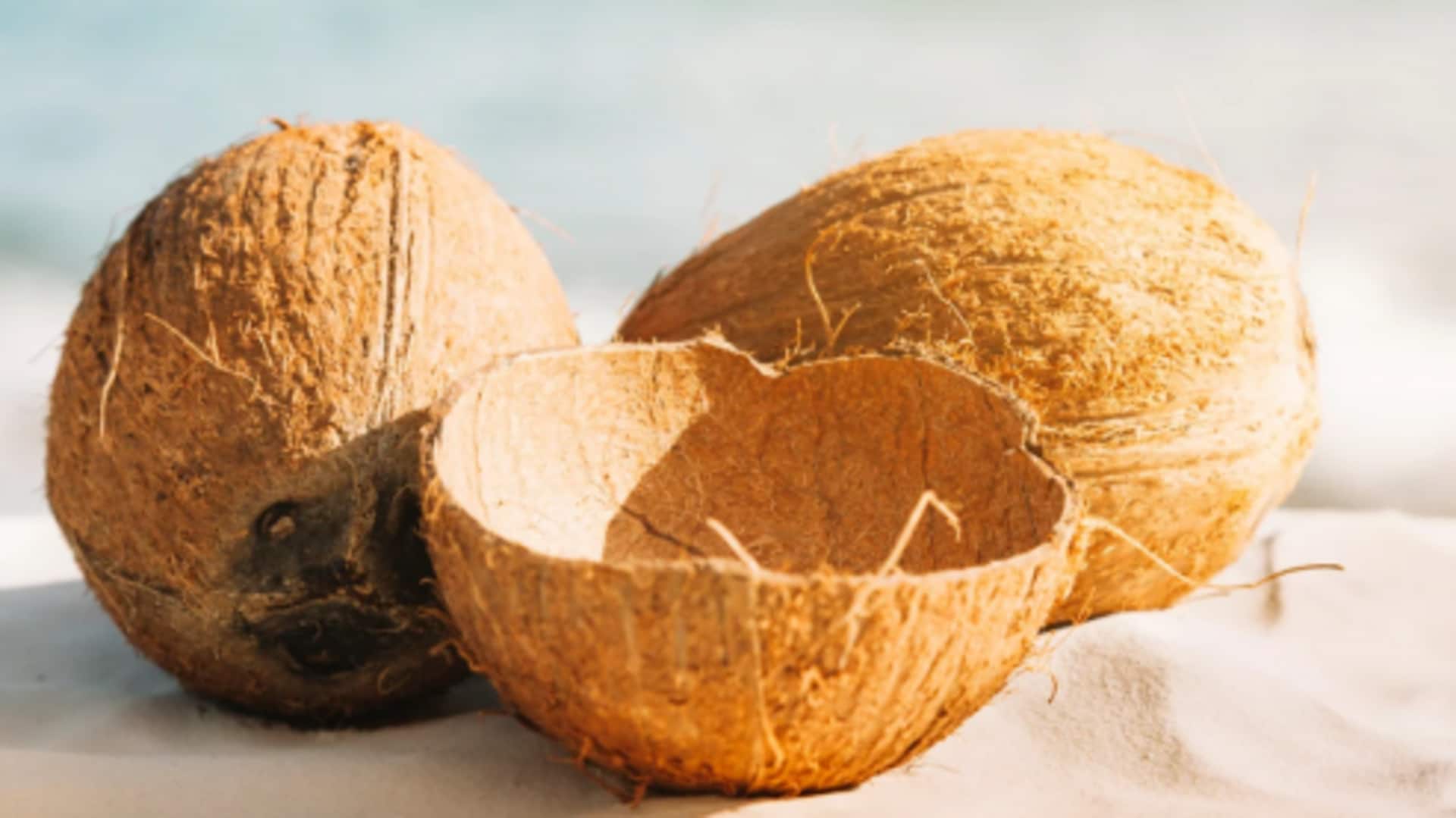 5 creative ways to use coconut shells 5 creative ways to use coconut shells