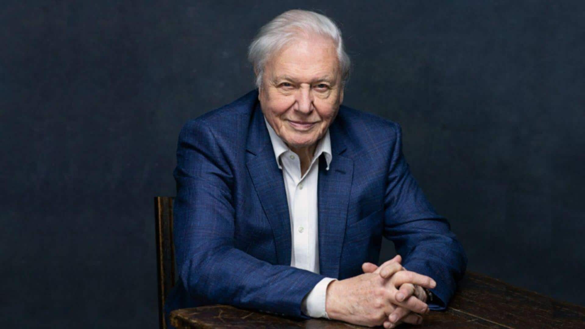 How David Attenborough became America's nature icon How David Attenborough became America's nature icon