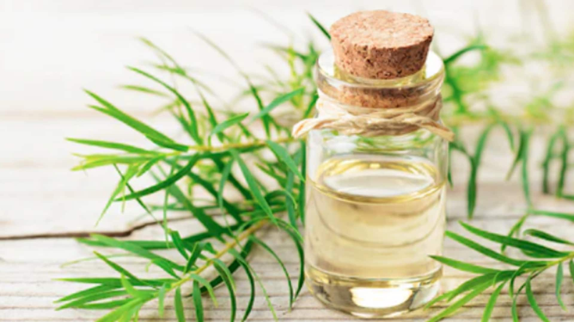 Unlocking the power of tea tree oil for skin