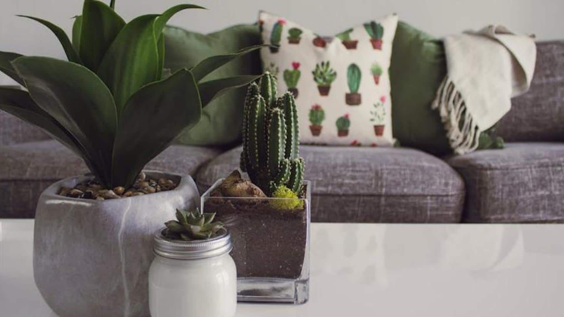 Enhancing indoor air quality with plants like a pro