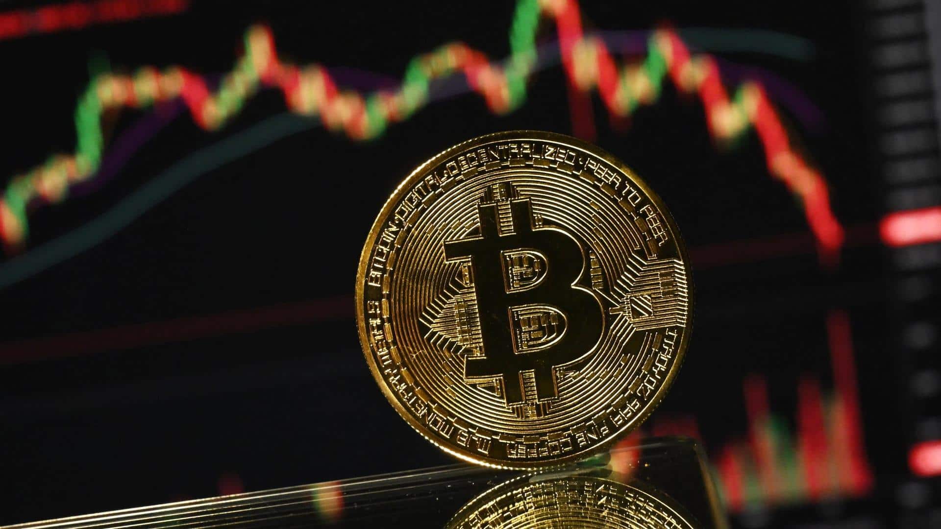 Bitcoin's value slides over 50% amid broader crypto slump