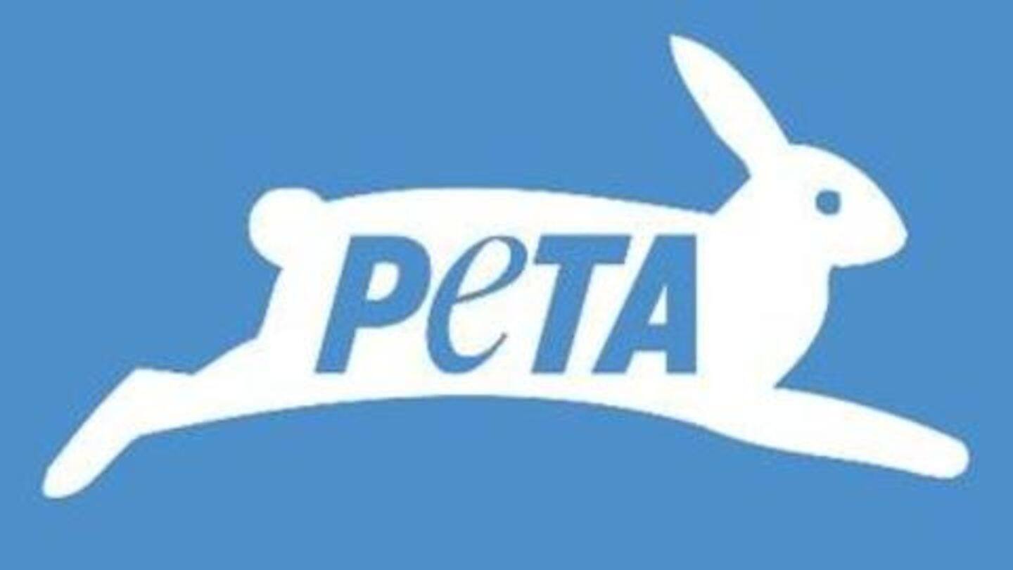 Avni killed to satisfy a hunter's lust for blood: PETA Avni killed to satisfy a hunter's lust for blood: PETA