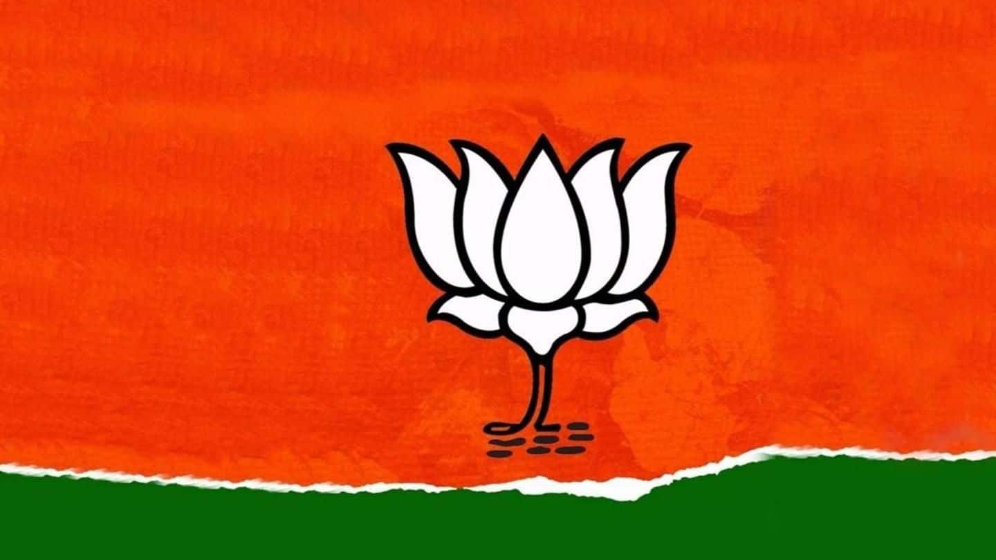 'Magicians' to campaign for BJP in MP polls. What's next?