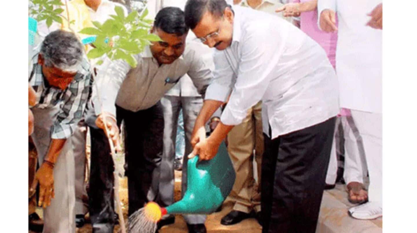 Delhi: Kejriwal launches mega drive to plant 5 lakh saplings