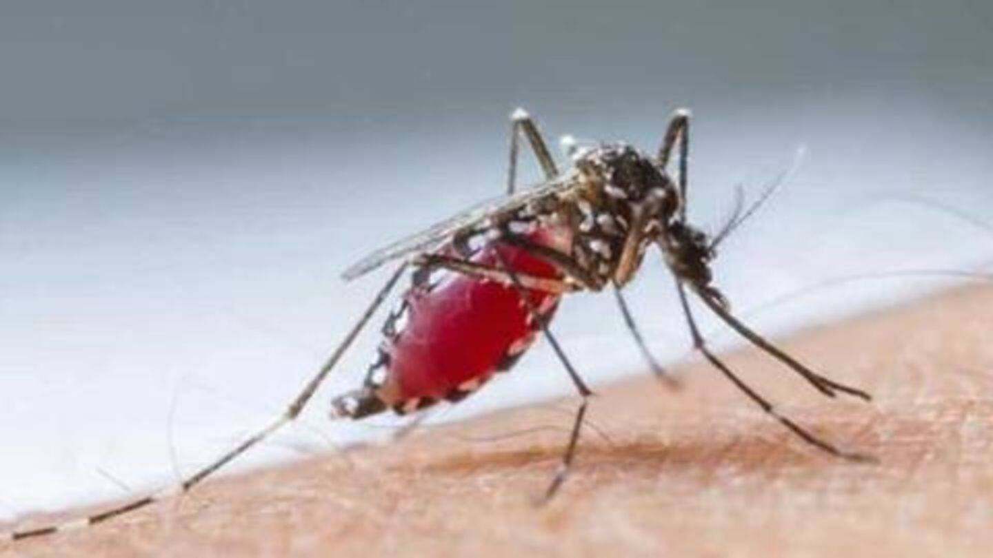 54 cases of Malaria deaths reported in 2018: Report