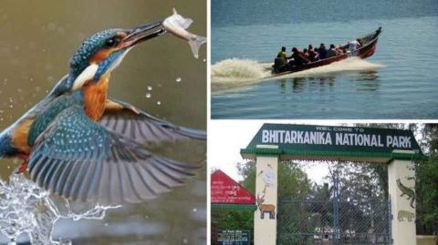 Attention Nature-Lovers! You can now visit this uninhabited Odisha island