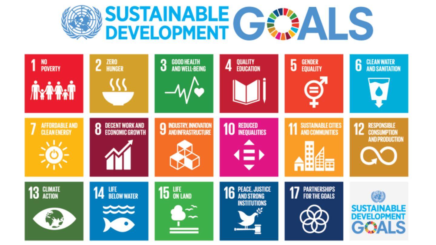 India to partner with developing countries to achieve SDGs