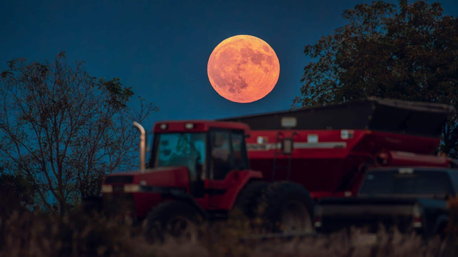 Harvest Moon rises on October 6: What makes it special?