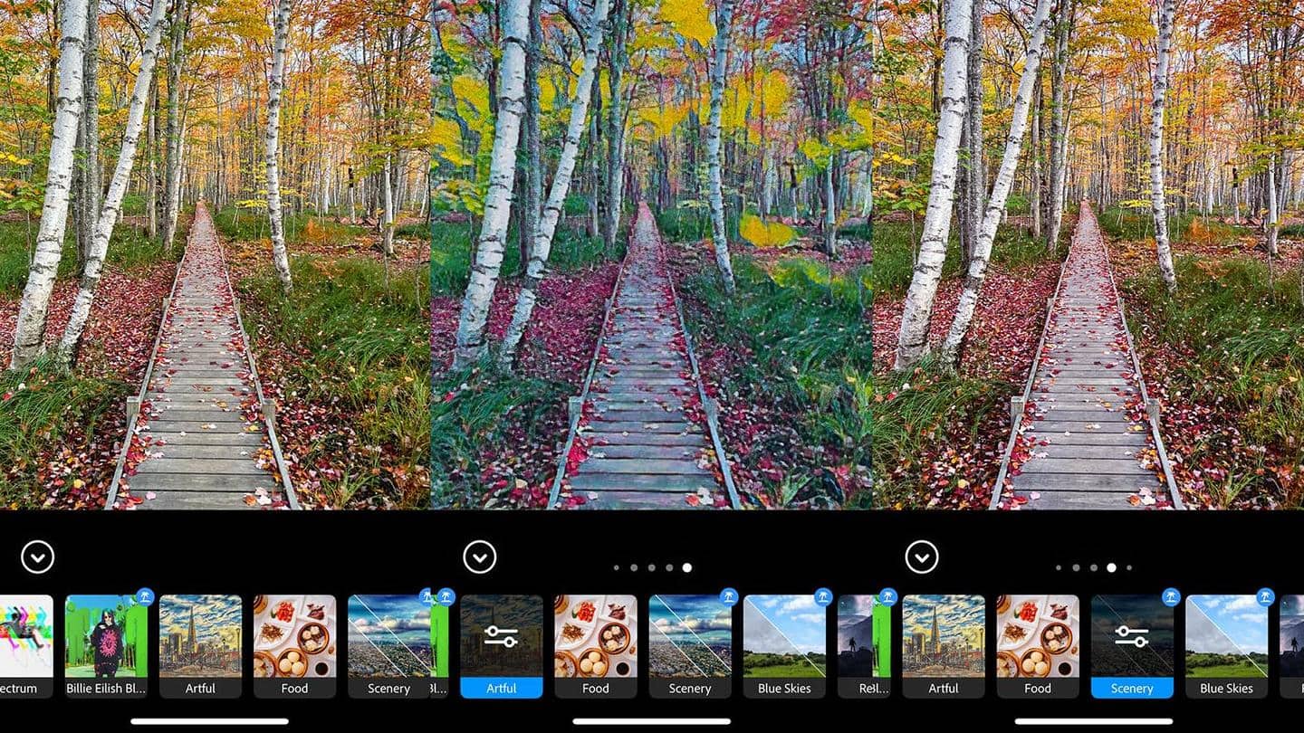 Adobe Photoshop Camera provides unique AI features Adobe Photoshop Camera provides unique AI features