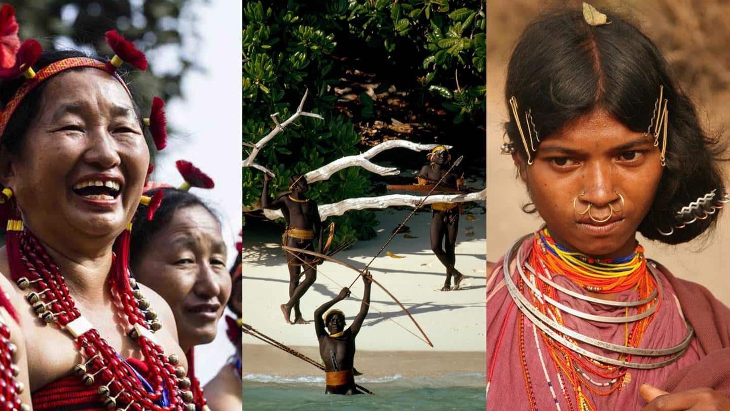 Top 5 Places to Tour Tribal India