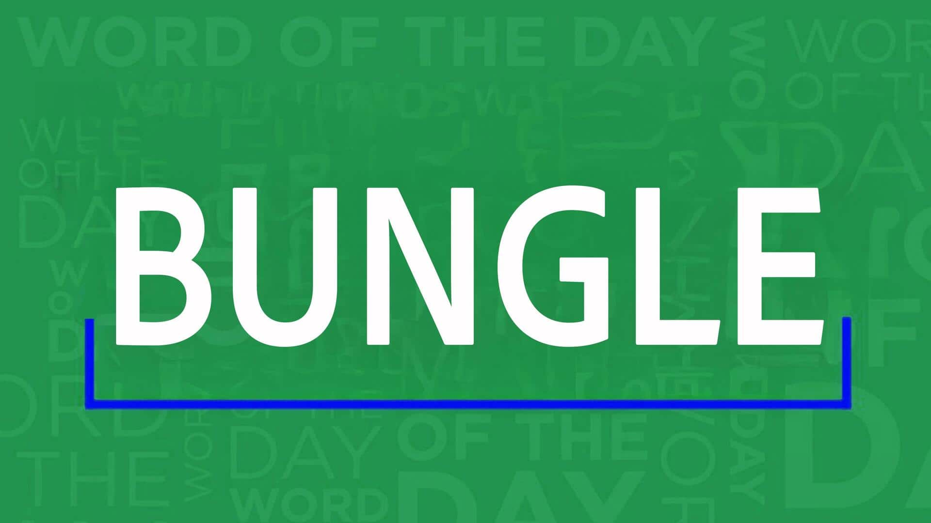 Word of the Day: Bungle