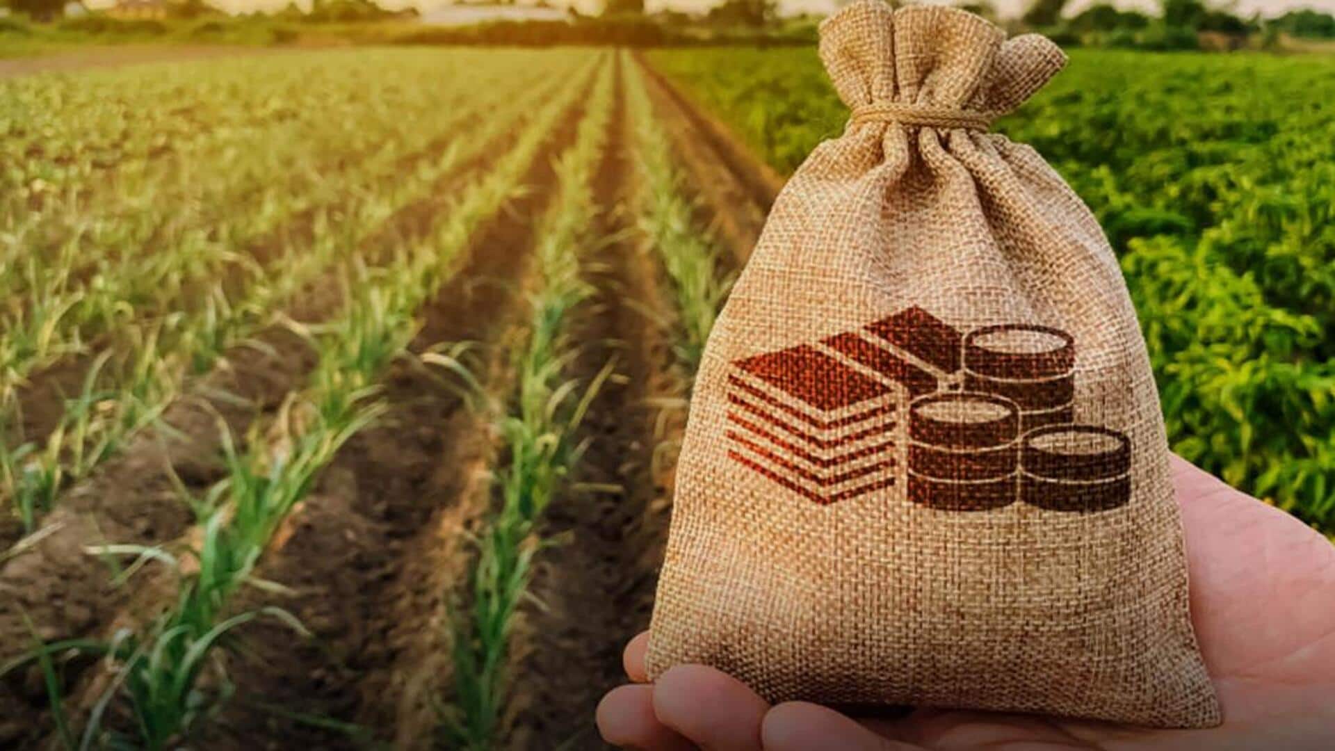Agricultural loans: What they are, types, etc
