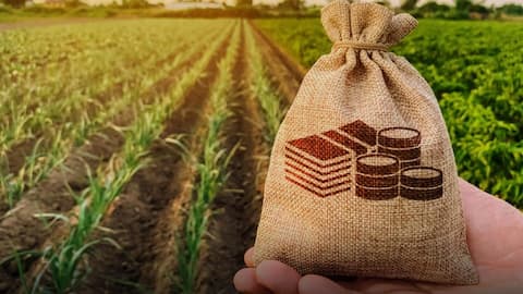 Agricultural loans: What they are, types, etc
