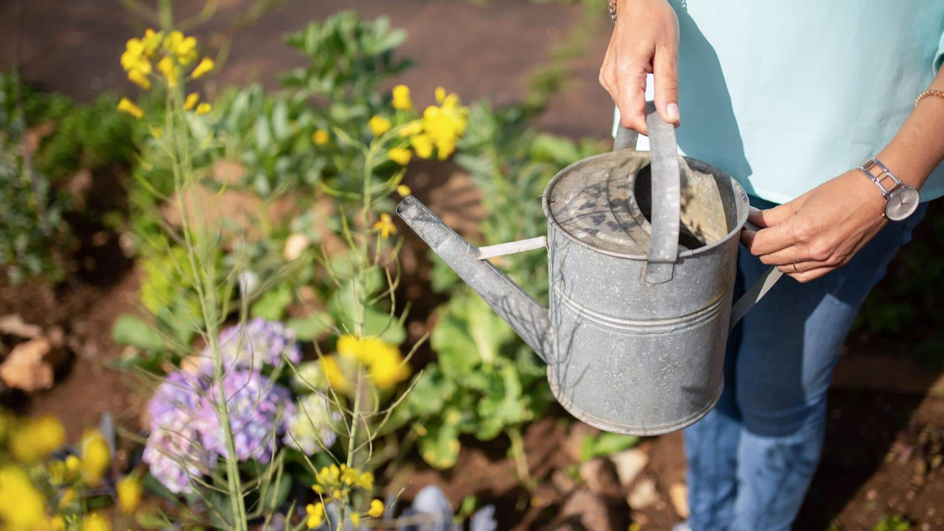 Gardening can do wonders for your mental clarity