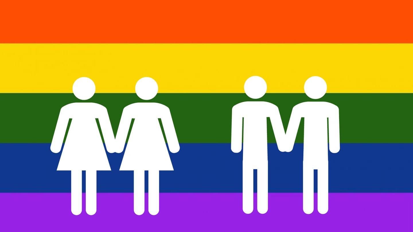 pareja homosexual abrazándose con orgullo bandera lgbtq 2373820 Vector ...
