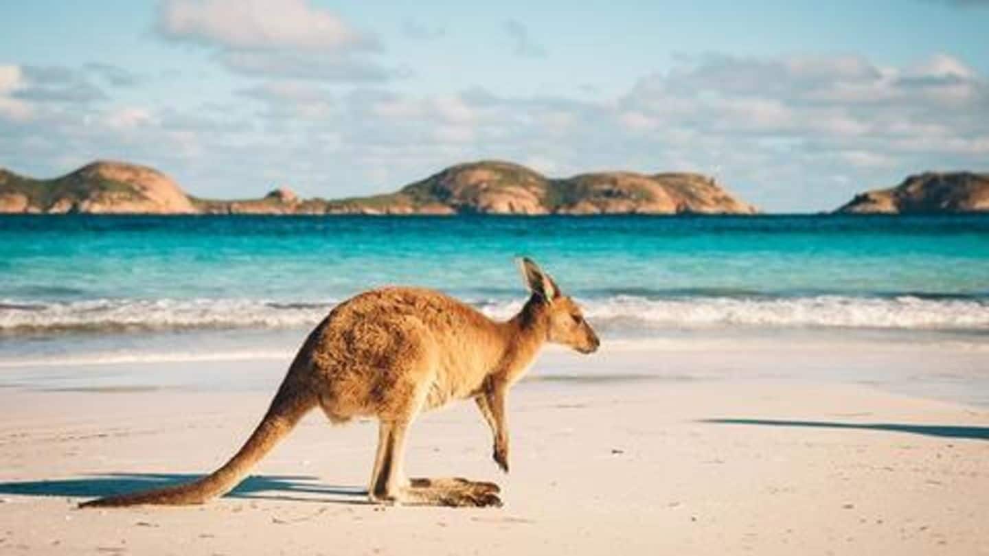 Australia: Surfing, hiking, snowboarding, bungee jumping Australia: Surfing, hiking, snowboarding, bungee jumping
