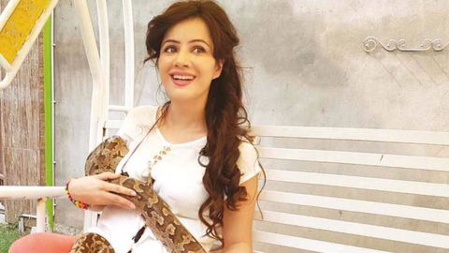 The Punjab Wildlife Protection department has launched inquiry against Pirzada The Punjab Wildlife Protection department has launched inquiry against Pirzada