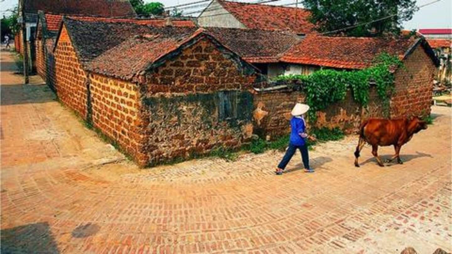 Son Tay Town: For a quiet escape from city life Son Tay Town: For a quiet escape from city life