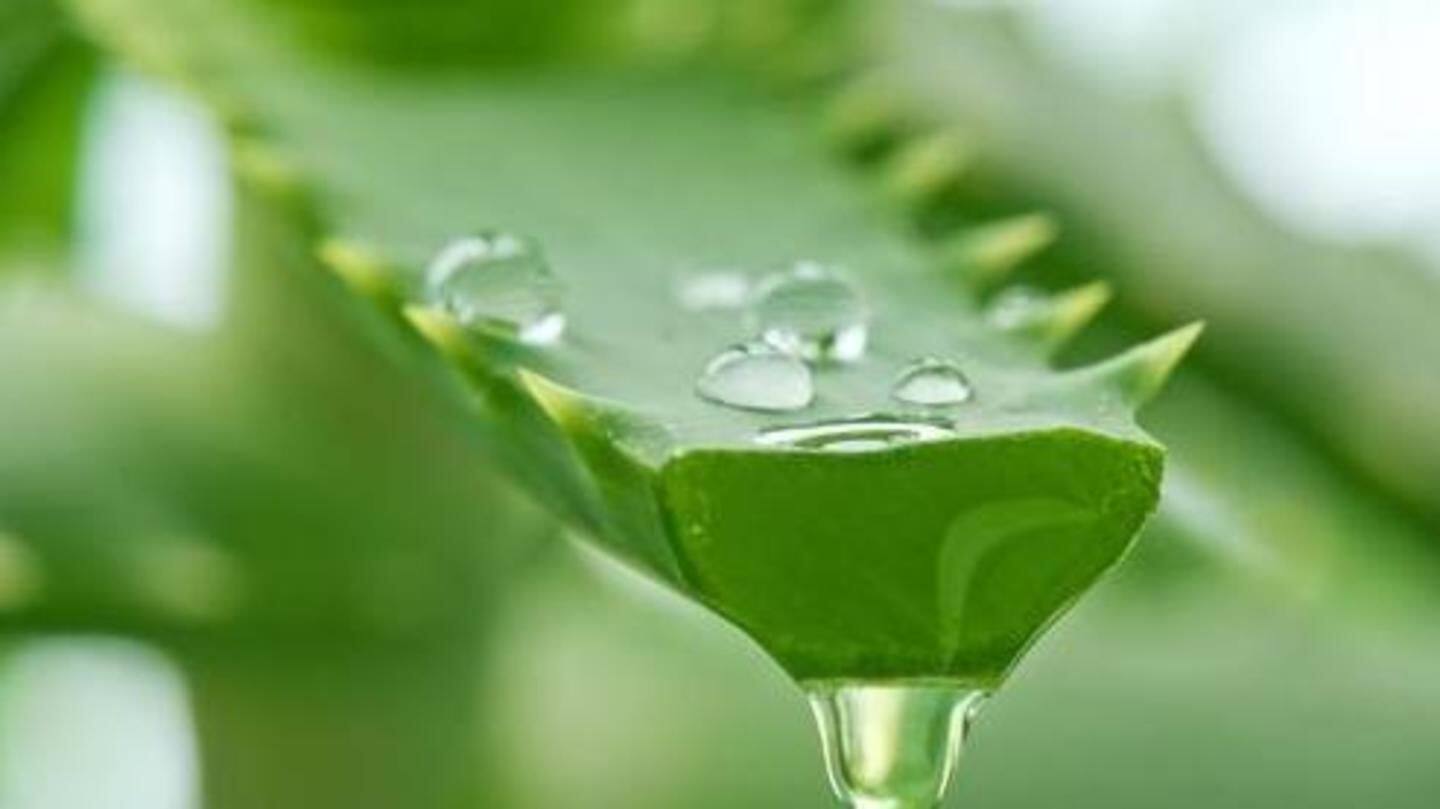 #HealthBytes: 5 amazing health benefits of Aloe Vera