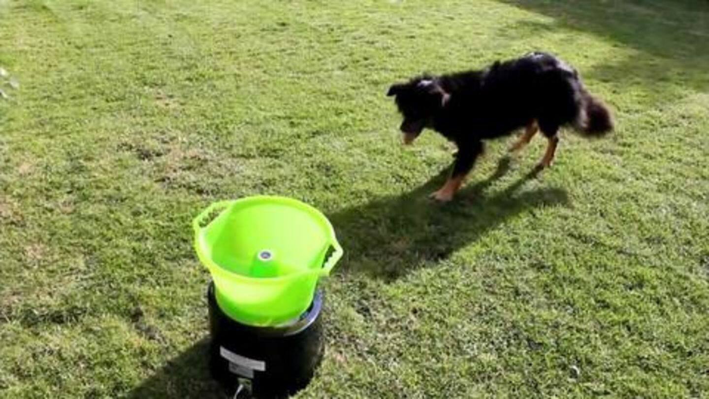Machine ball fetcher: So that your mate doesn't get bored Machine ball fetcher: So that your mate doesn't get bored