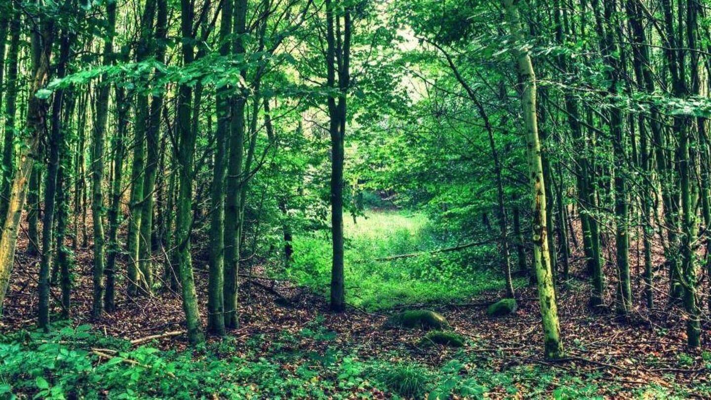 A paradise for nature enthusiasts and bird watchers A paradise for nature enthusiasts and bird watchers