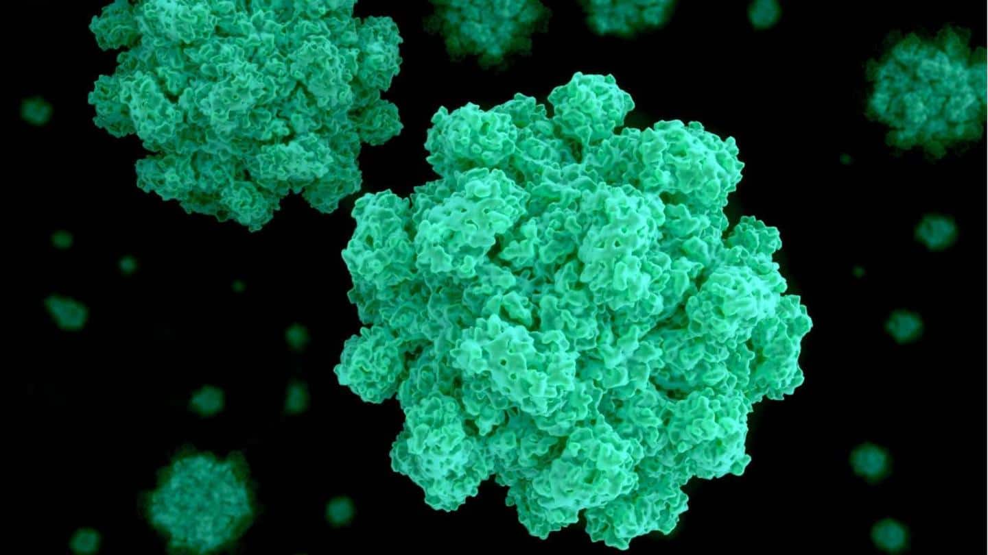 13 Norovirus cases reported in Kerala. What is it?
