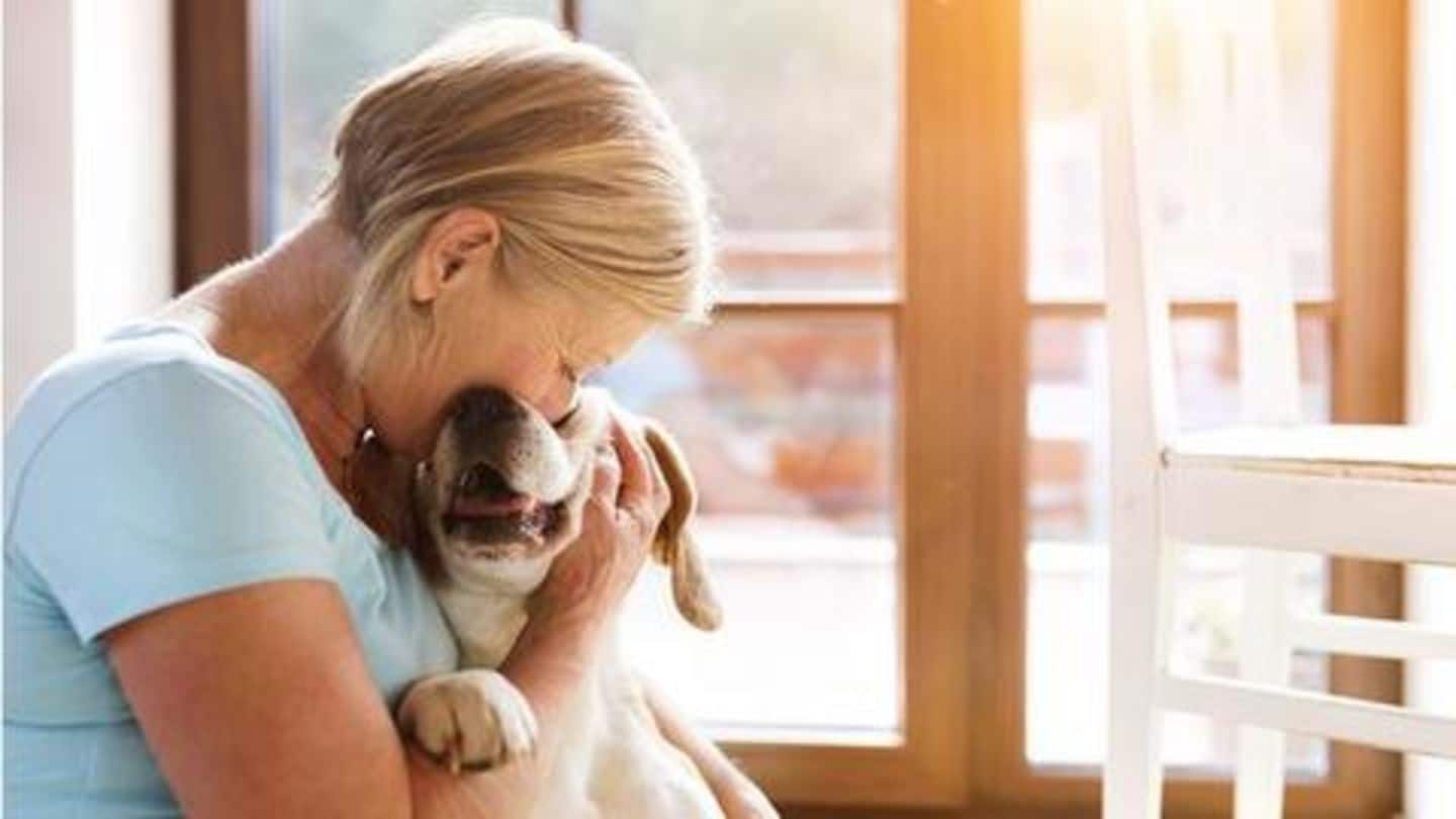 Going out without your pet? Make sure of these things