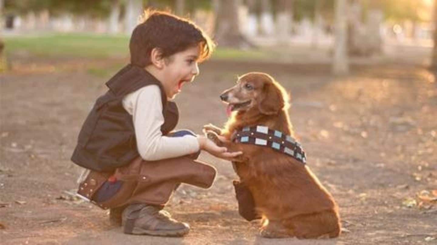 Five tips to introduce a new pet to your kids