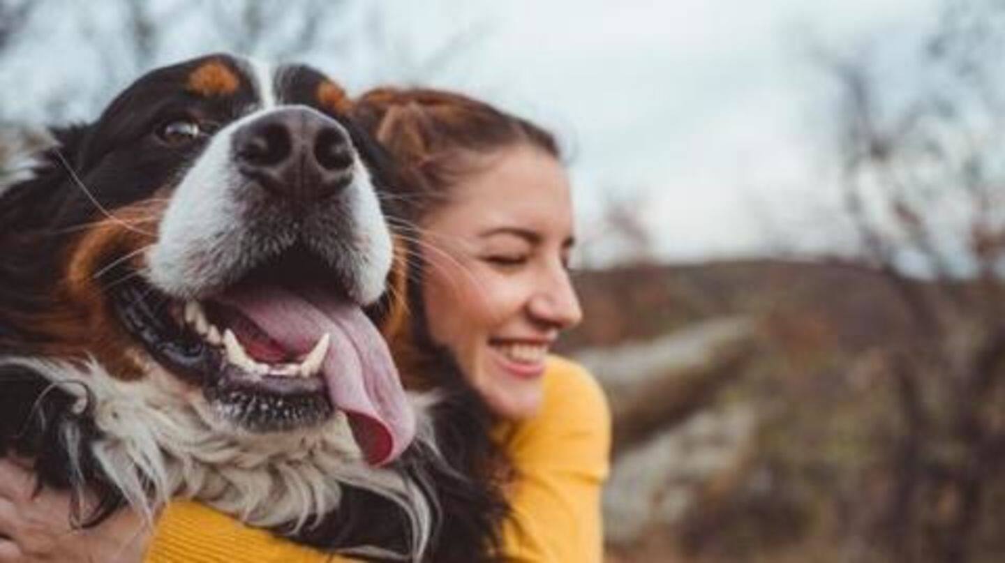 Take your pet to the vet (frequently) Take your pet to the vet (frequently)