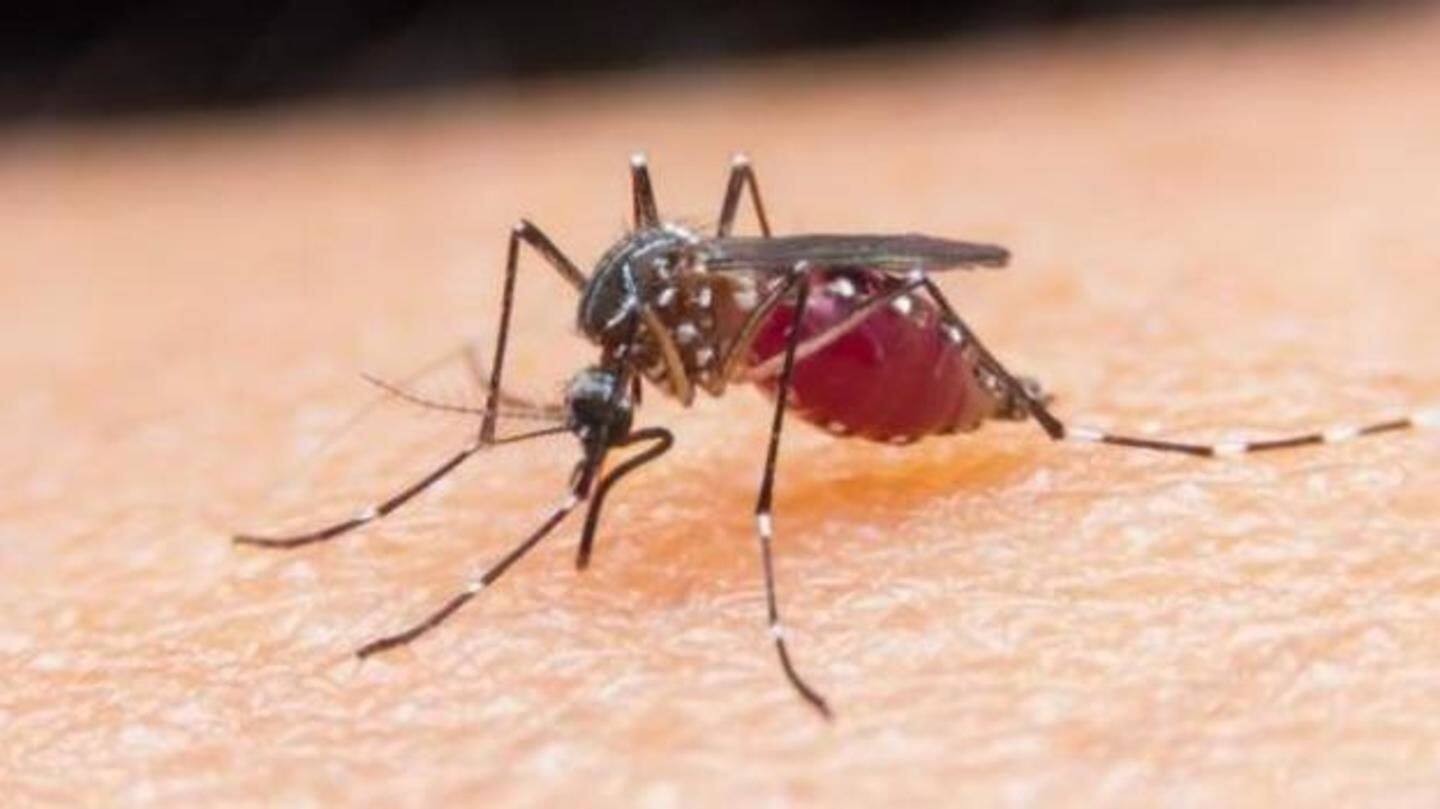 #HealthBytes: Tips to help prevent dengue fever